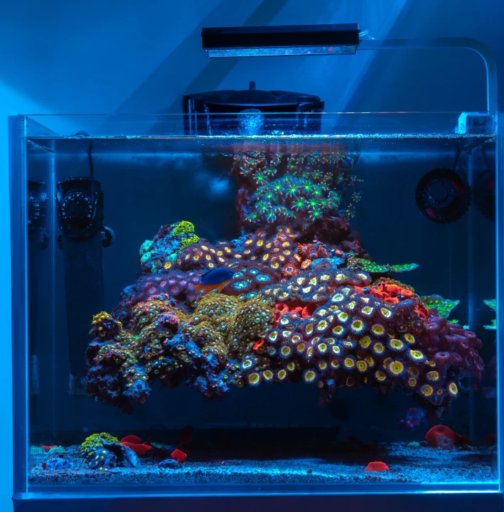 3732873be7e398205eacc8a350364034